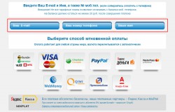 Введите свои E-mail, ФИО и номер мобильного телефона, с которого планируете платить