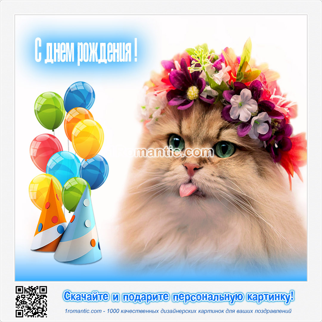 прикольные поздравления с днем рождения женщине скачать бесплатно